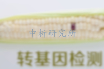 轉基因食品檢測