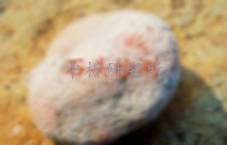石頭檢測