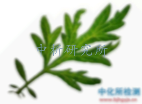 艾葉檢測
